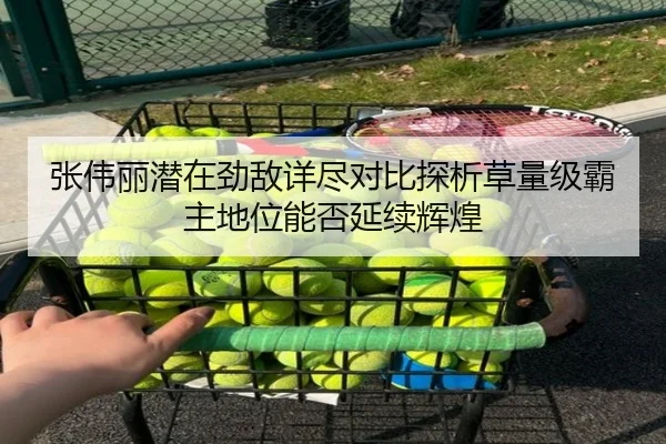 张伟丽潜在劲敌详尽对比探析草量级霸主地位能否延续辉煌